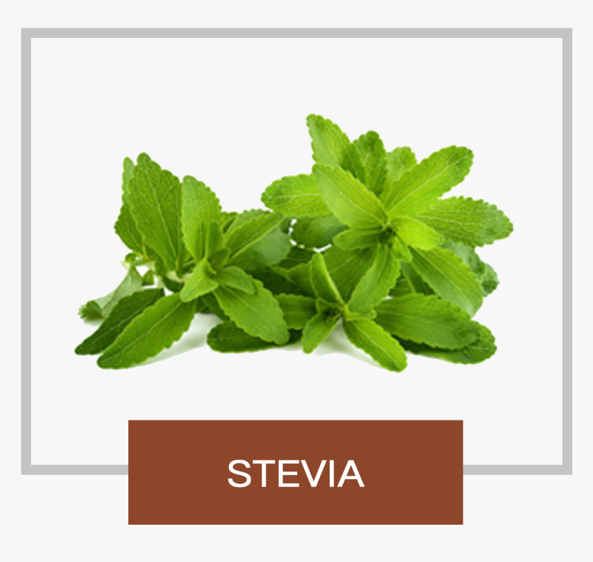 Natrisweet Stevia - Stevia Png, Transparent Png
