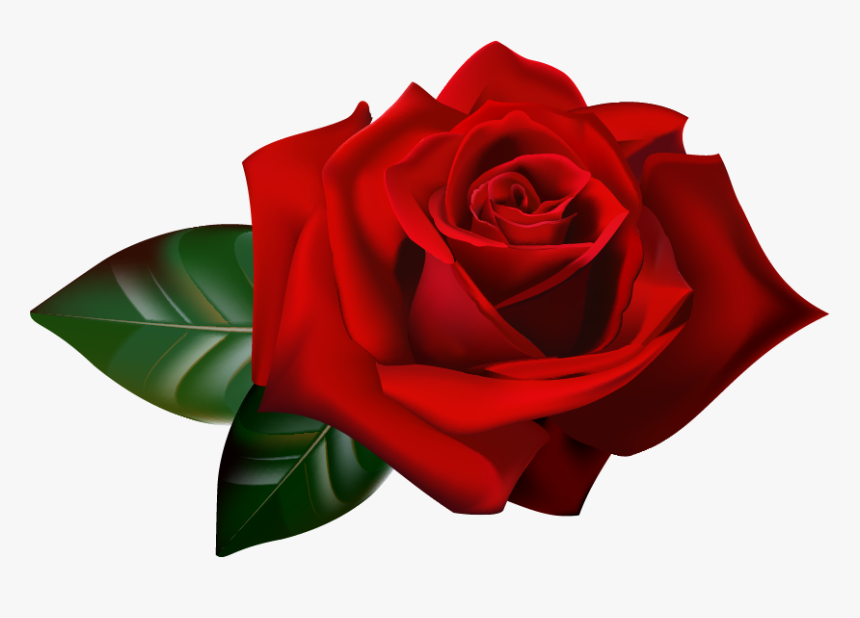 Transparent Burgundy Flowers Border Png, Png Download