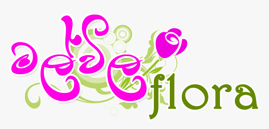 All Wedding Decor Supply - Graphic Design, HD Png Download