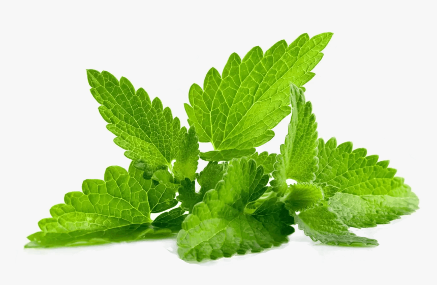 Mint Png, Transparent Png