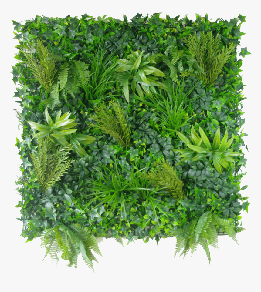 Vertical Garden Wall Png, Transparent Png