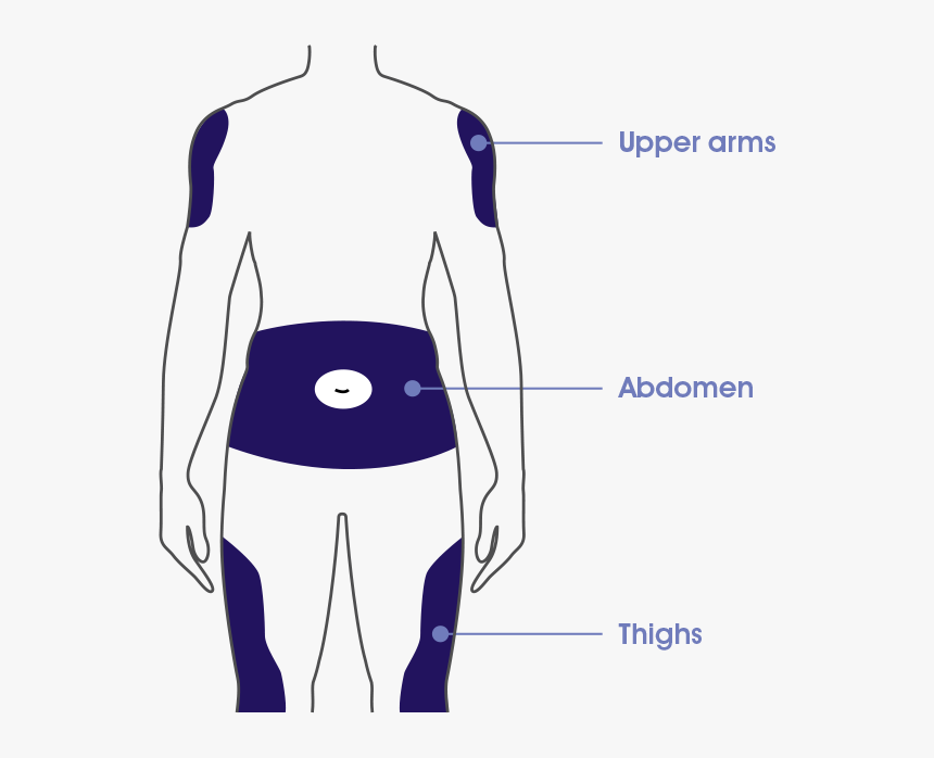 Illustration, HD Png Download