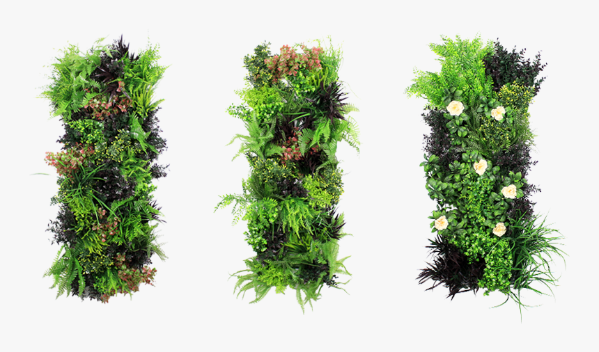 Artificial Vertical Garden - Vertical Green Wall Png, Transparent Png