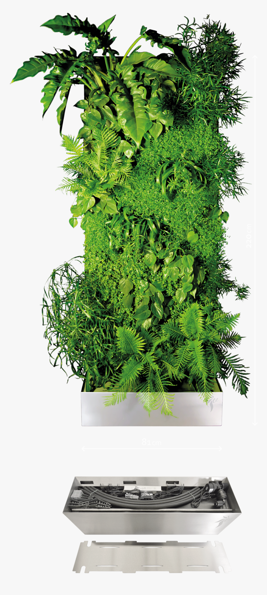 Transparent Vertical Garden Png - Vertical Garden Png, Png Download