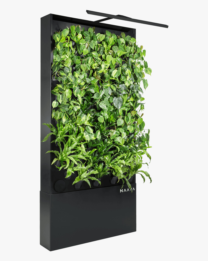Naava One Slim Graphite Black Oblique Vertical Garden - Vertical Garden Plants Png, Transparent Png