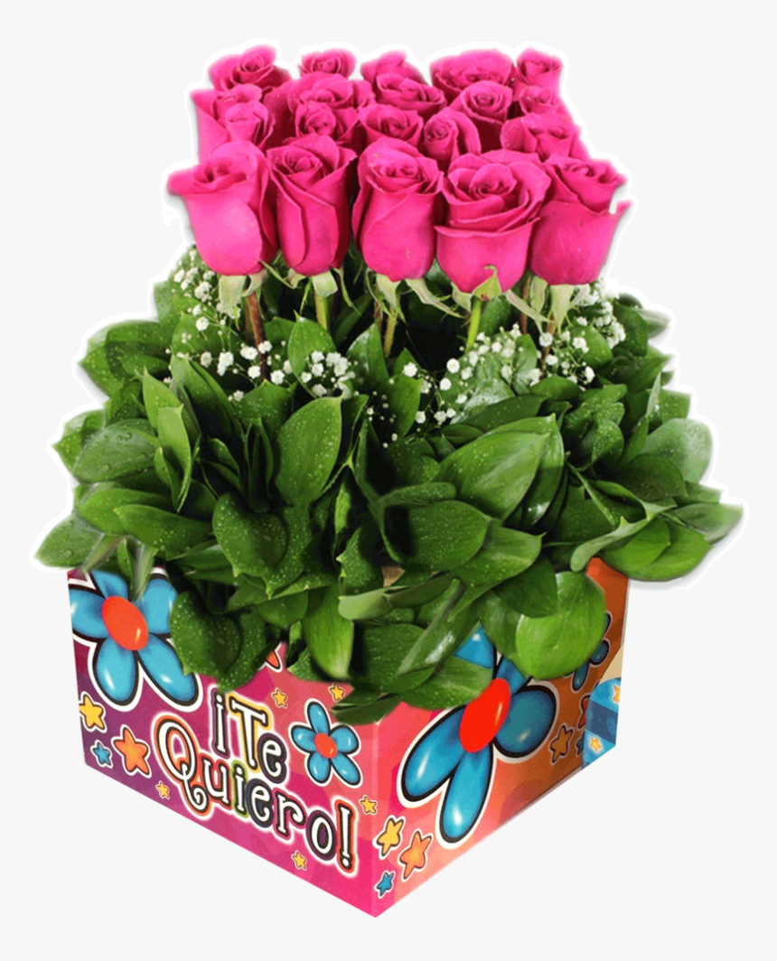Floribunda, HD Png Download