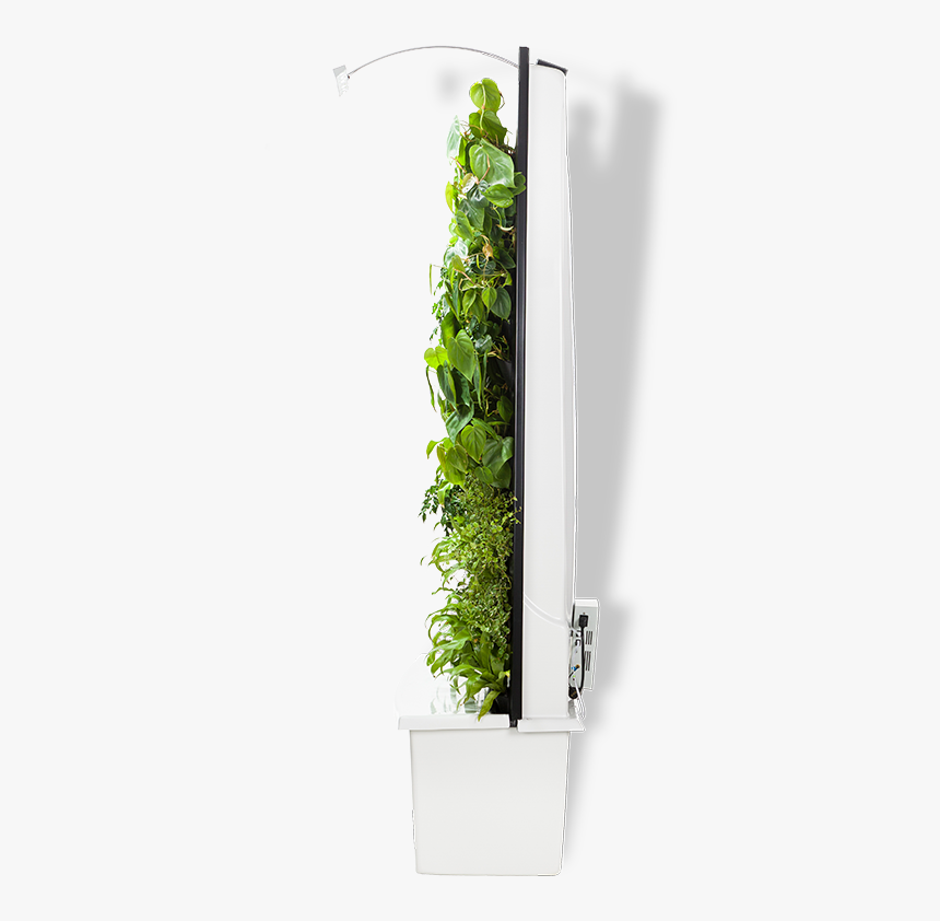 Top View Vertical Garden Png, Transparent Png
