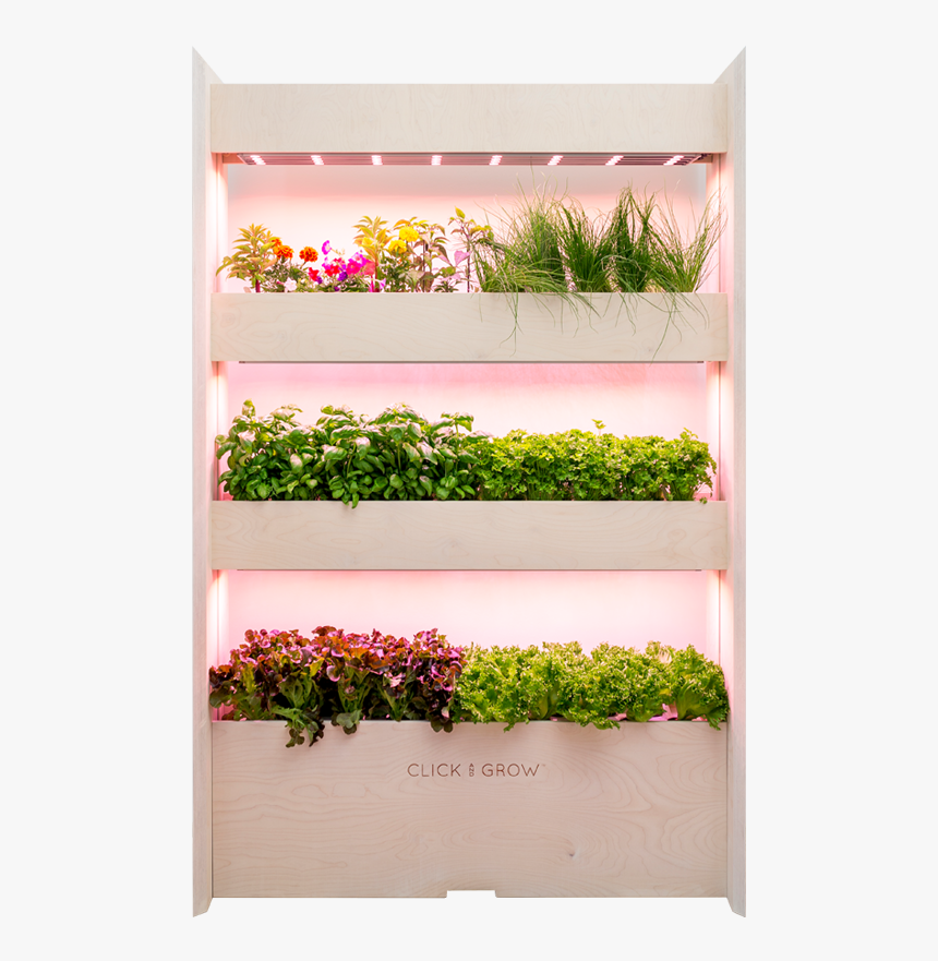 Click And Grow Wall Farm, HD Png Download