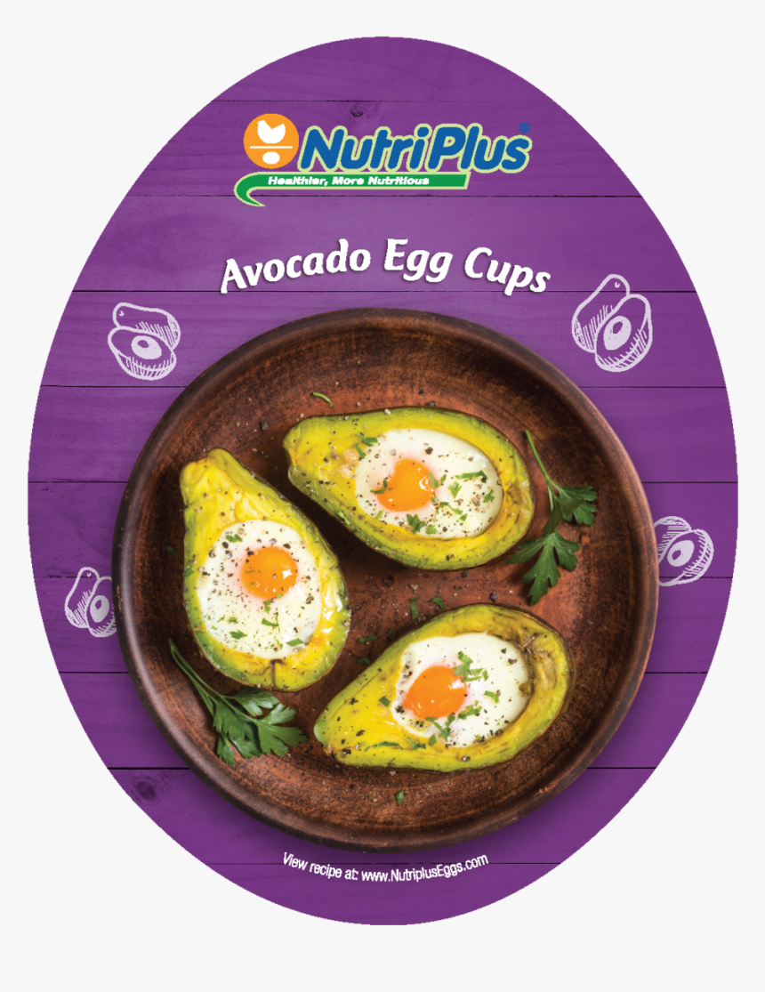 Coaster V4 Website2-04 - Fried Egg, HD Png Download