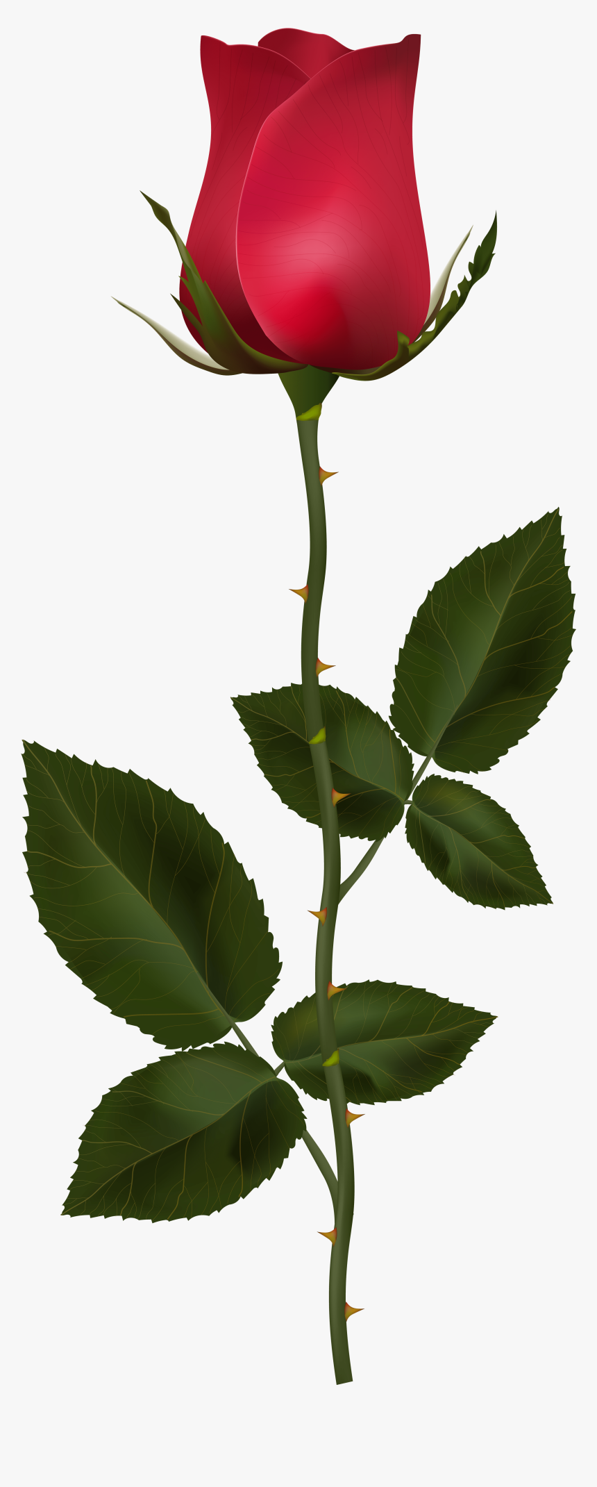 Red Rose With Stem Clip Art Png Image Gallery Yopriceville - High Quality Rose With Stem, Transparent Png