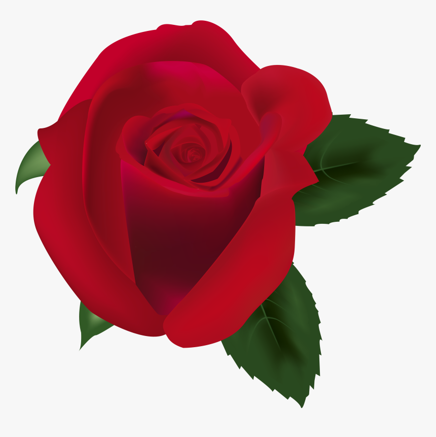 Red Rose Png Clipart Image - Portable Network Graphics, Transparent Png