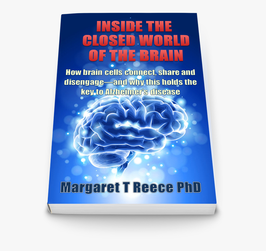 Brain With Blue Background, HD Png Download