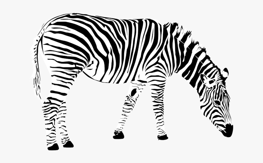 Transparent Background Zebra Clip Art, HD Png Download