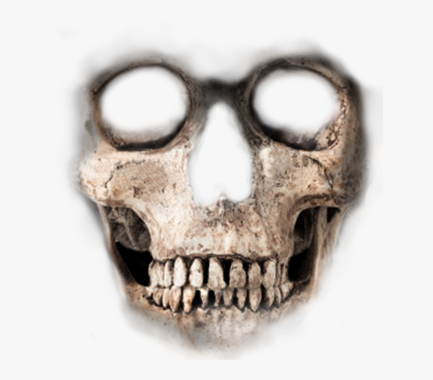 Skeleton Face Png - Skeleton Face For Photoshop, Transparent Png