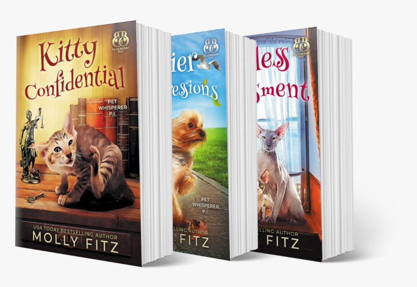 Flyer, HD Png Download