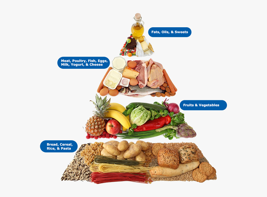 Egal S Art Print - Carbohydrates Types Of Nutrients, HD Png Download