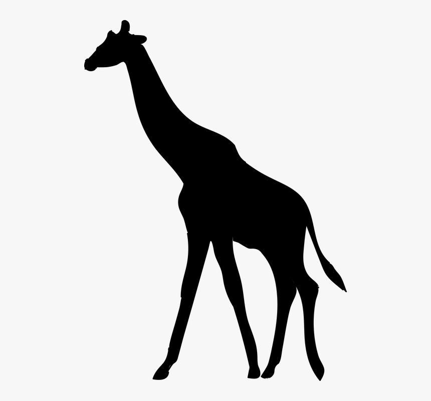 Art,silhouette,line Art,animal And White,chamois - Animal Giraffe Silhouette Png, Transparent Png