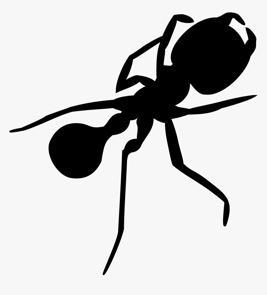 Transparent Ant Clip Art - Ant Silhouette Png, Png Download