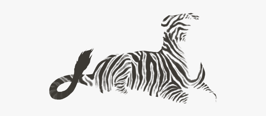 Zebra, HD Png Download
