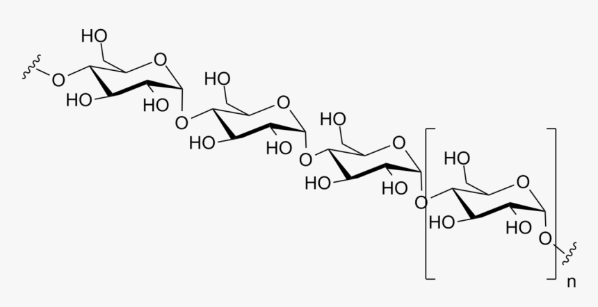 Amylose Polymer, HD Png Download
