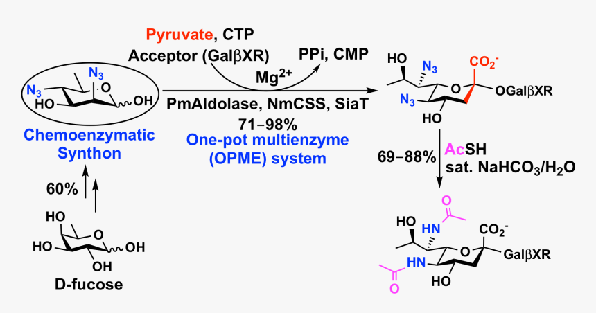 The Top Left Shows A Chemoenzymatic Synthon Easily - Chemical Synthesis Of Carbohydrates, HD Png Download