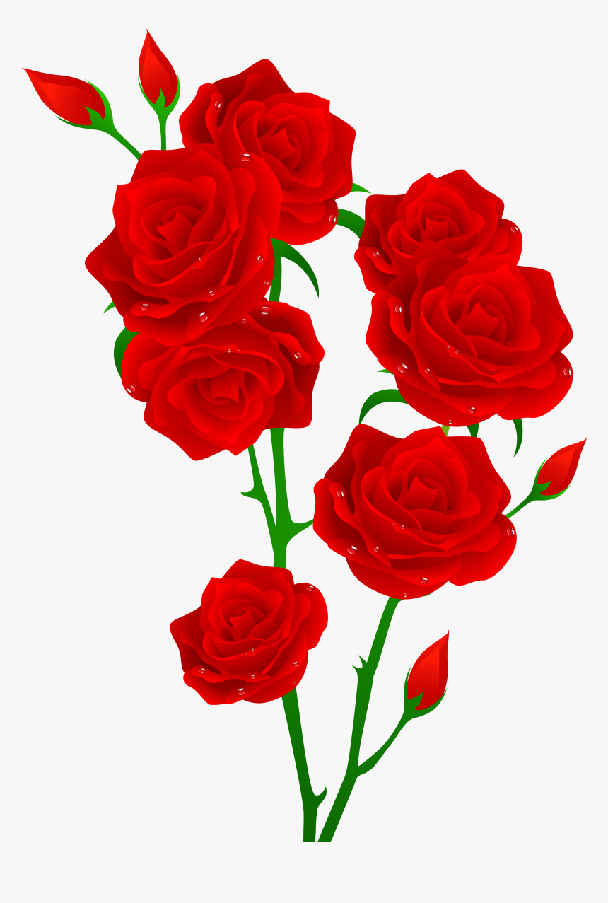 Red Rose Flower Clip Art, HD Png Download