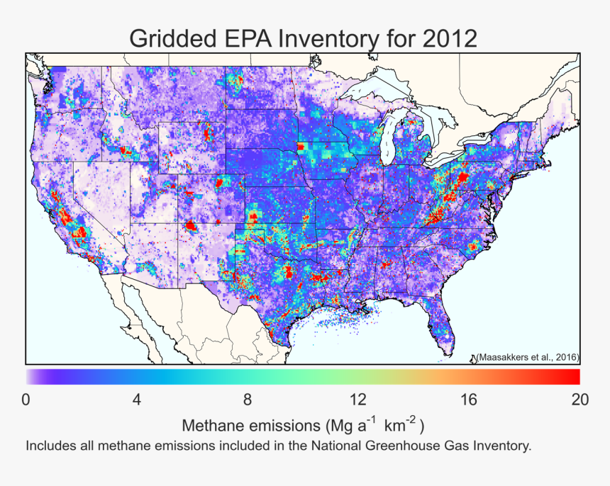 Map Of The U - Japanese Honeysuckle Population Map, HD Png Download