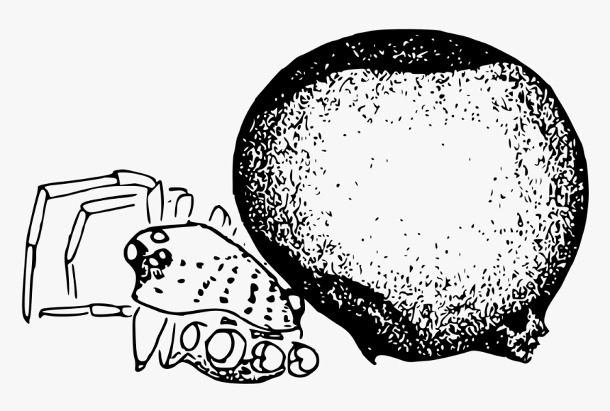 Illustration, HD Png Download