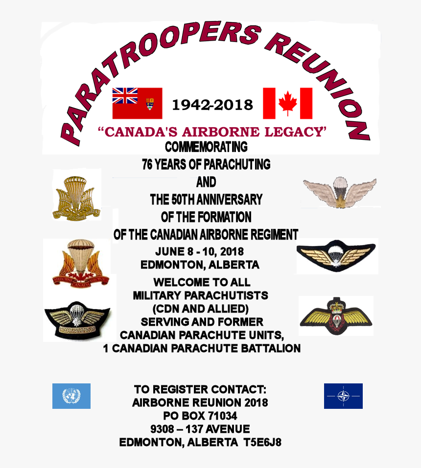 Bird, HD Png Download