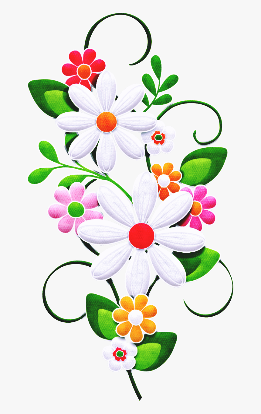 Pin By Zayda Romero - African Daisy Flowers Clipart, HD Png Download
