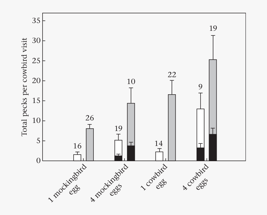 Diagram, HD Png Download