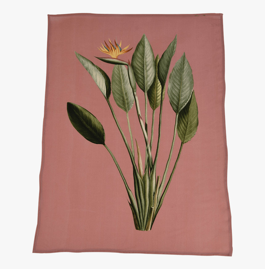 Towel, HD Png Download