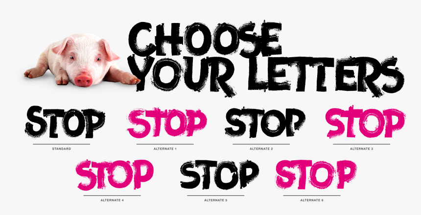 Clip Art Fontspring By Typogama Gallery - Domestic Pig, HD Png Download