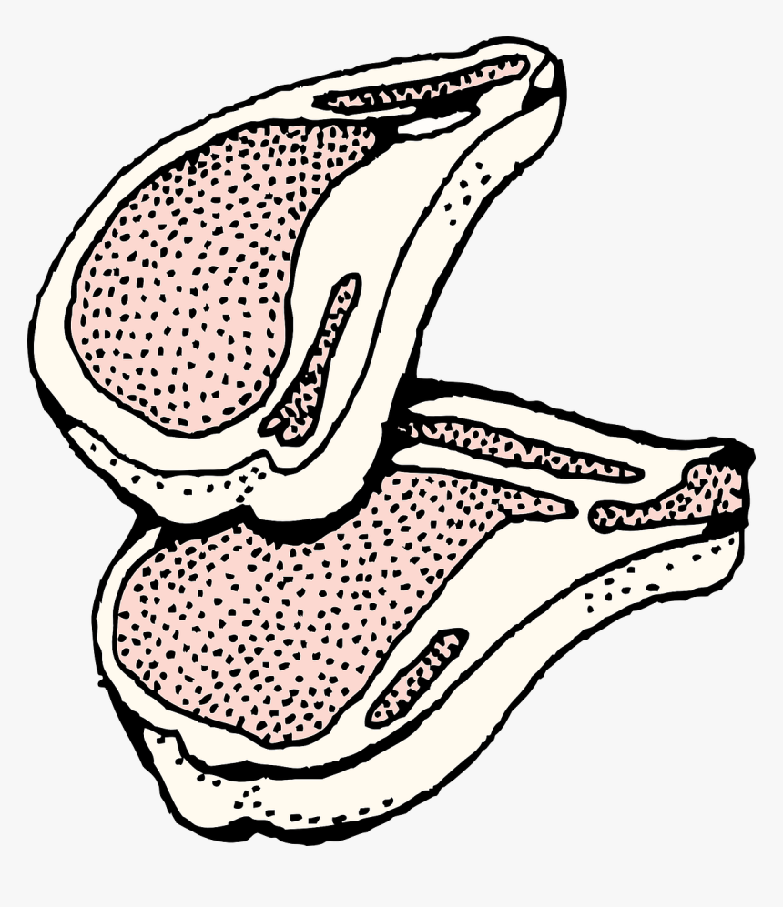 Pork Chop Clipart Black And White, HD Png Download