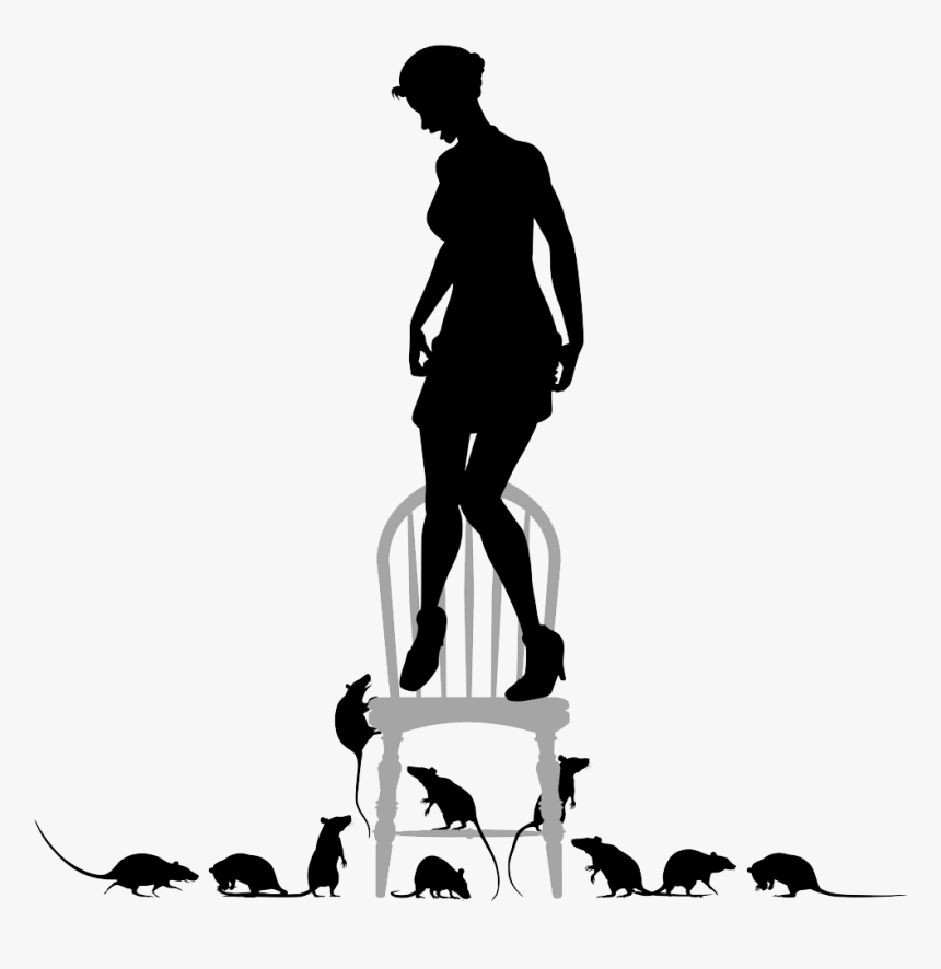 One Of The More Common Phone Calls We Receive Are The - La Phobie Des Rats, HD Png Download