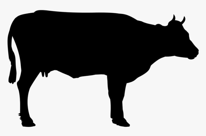 Cattle, Beef Cattle, Cow, Foot, Meat, Butcher - Cow Black And White Png, Transparent Png