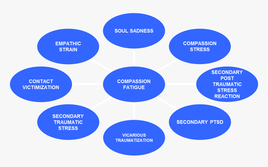 Cf Related Concepts - Quality Cycle In Product Development, HD Png Download