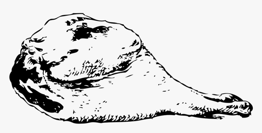 Meat, Leg, Chicken, Poultry, Drumstick, Food - Outline Image Of Meat, HD Png Download