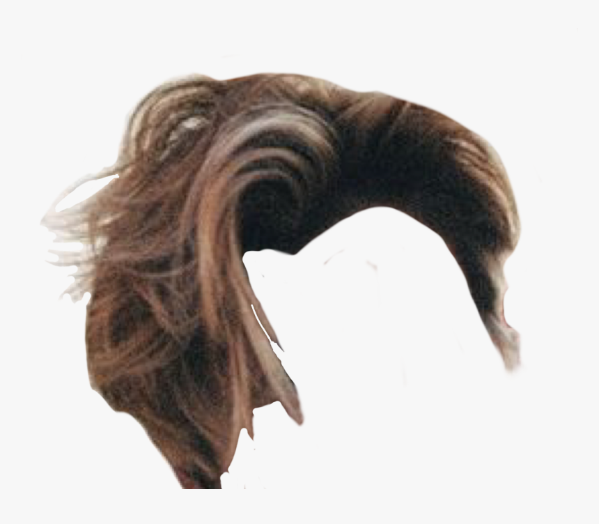 Niche Meme Png Hair, Transparent Png