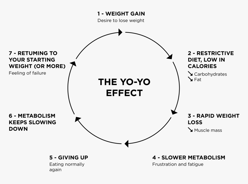 Diagram, HD Png Download