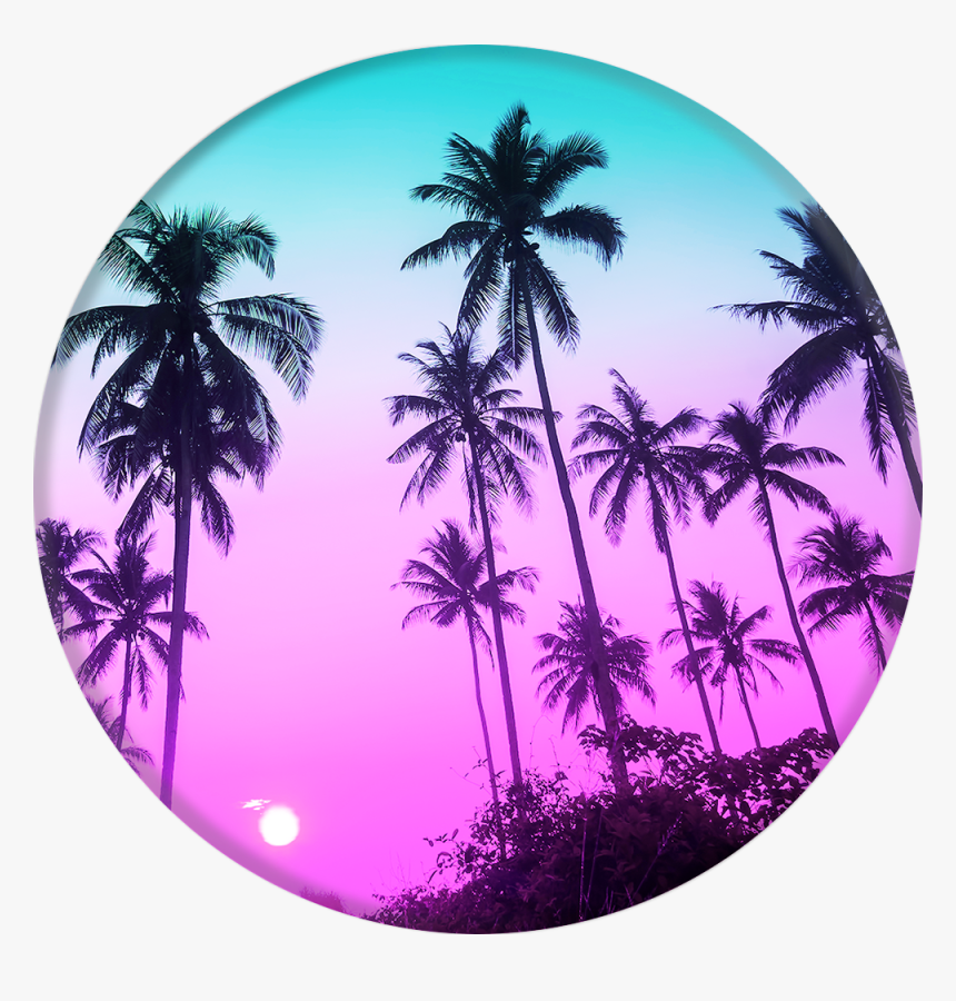 Collapsible Grip & Stand For Phones And Tablets - La La Popsocket, HD Png Download