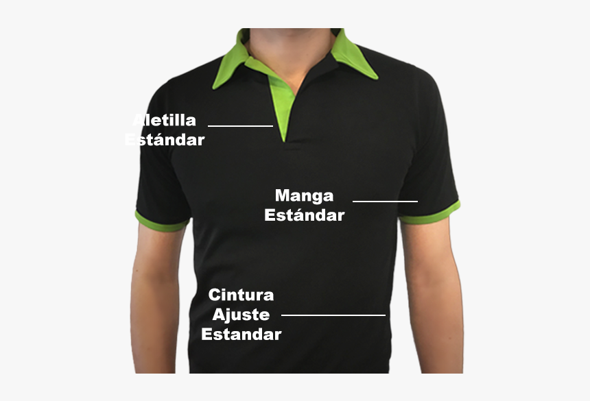 Polo Shirt, HD Png Download