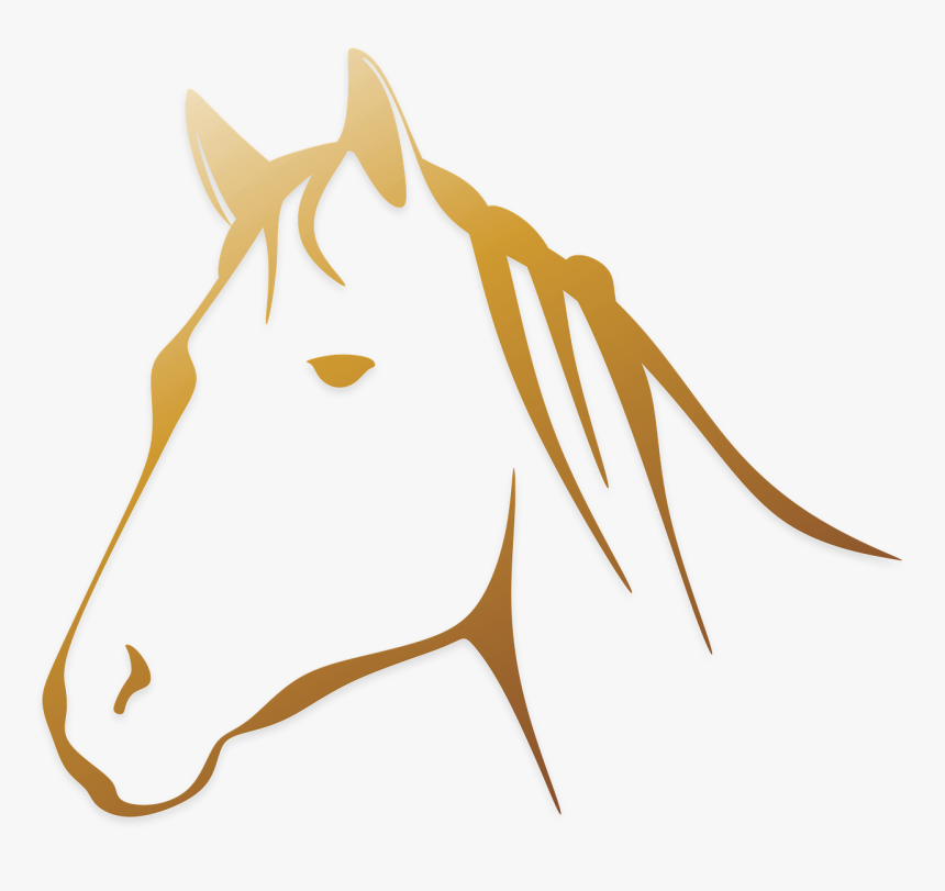 Clipart White Horse Transparent, HD Png Download