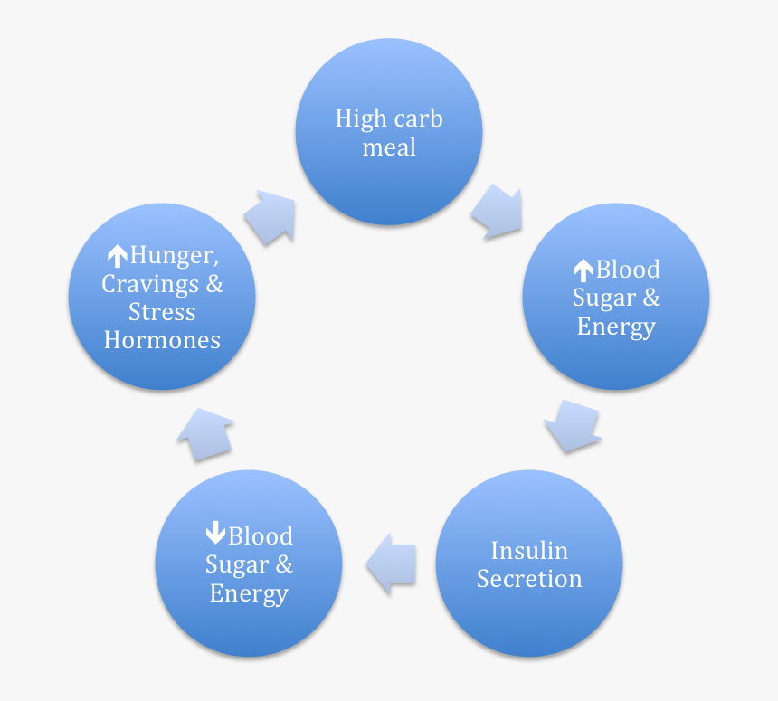 Carb Cycle - Physiotherapy Importance, HD Png Download