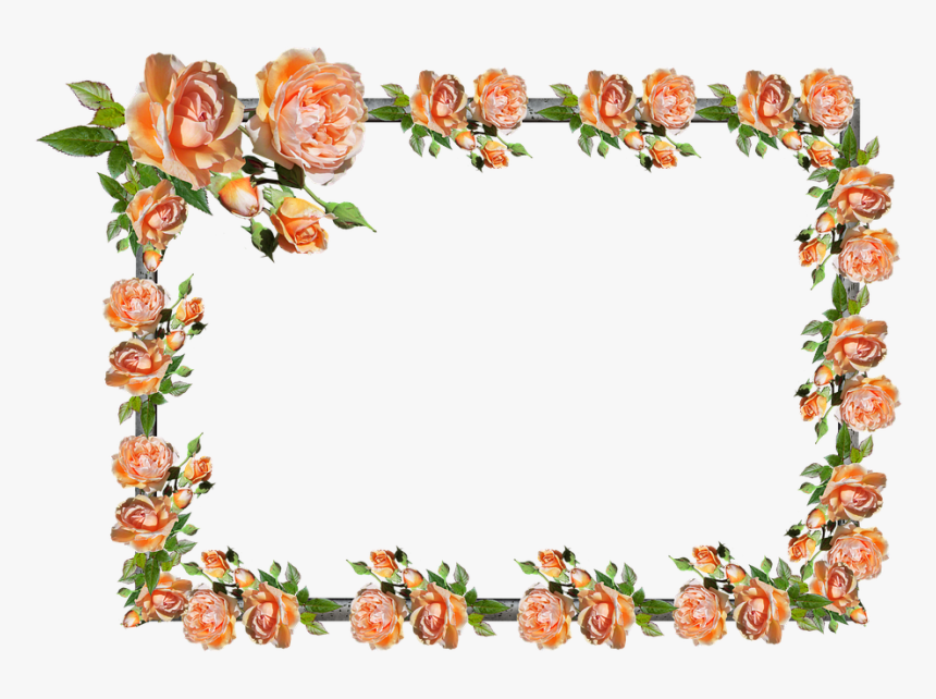 Frame, Border, Rose, Floral, Decoration - Floribunda, HD Png Download