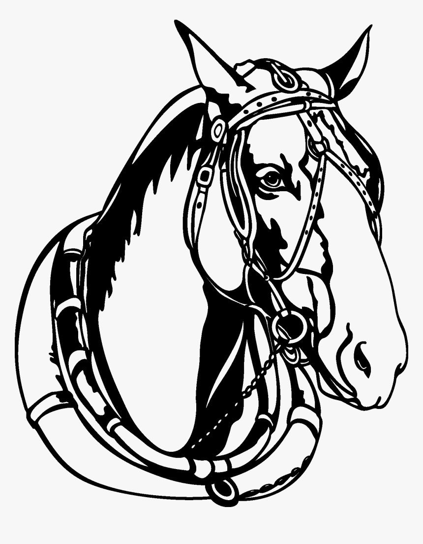 Transparent Horse Head Silhouette Png - Horse Head With Bridle Clip Art, Png Download