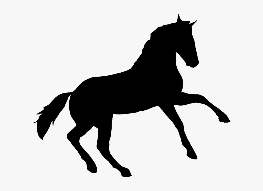 Printable Horse Silhouette - Silhouette Horse, HD Png Download