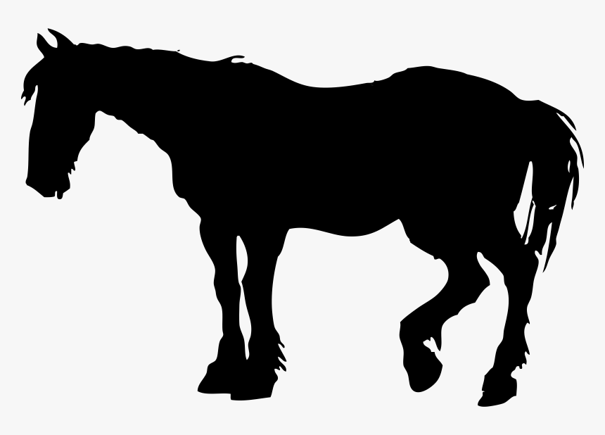 Horse Silhouette Clip Arts - Horse Silhouette Clip Art, HD Png Download