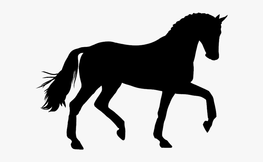Dressage Horse Crafts Dressage Horses, Horses, Horse Horse Silhouette