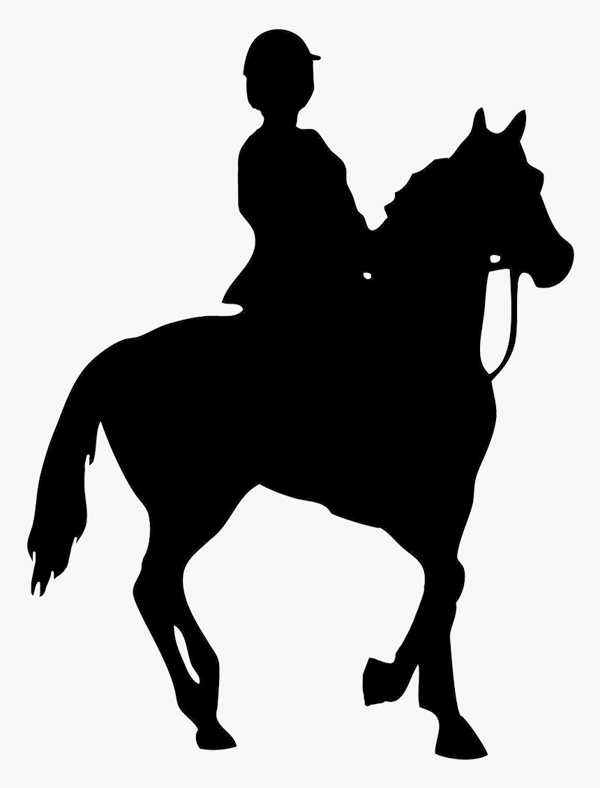 Transparent Horse Head Png - Horse Riding Png, Png Download